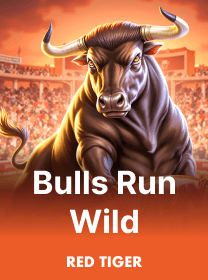 Bulls Run Wild