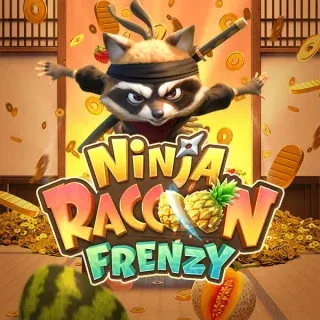 Ninja Racoon Frenzy