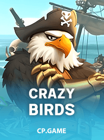 crazy birds